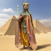 Pharaoh King of the Nile Adult Costume