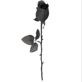 Black Rose
