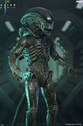 ALIEN EARTH - 7 INCH SCALE ACTION FIGURE - ULTIMATE WENDY'S XENOMORPH