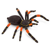 Spider Prop - Orange Kneed Tarantula