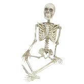 36” Articulated Skeleton