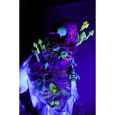 Mushroom Zombie Zack Blacklight Prop