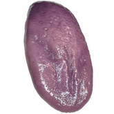 Realistic Silicone Rotten Severed Tongue Prop