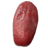 Realistic Silicone Freshly Severed Tongue Prop