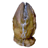 Alien Egg Prop