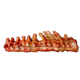 Animal Spine Prop