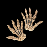 Skeleton Hand Backs Foam Latex Prosthetic