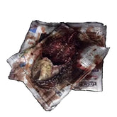Rotting Fish Prop on Paper