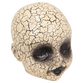Creepy Cracked Doll Head