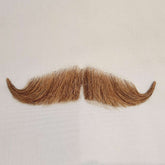 Ambassador 2 Moustache