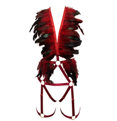 Black/Red Feather Top & Garter Bottom Set