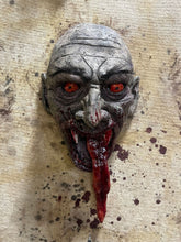 Biter Tongue Swinging Wall Creeper