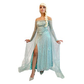 Fairytale Frozen Queen Adult Costume