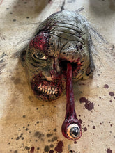 I See You Eye Swinging Wall Creeper