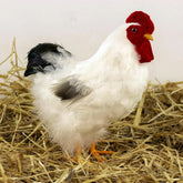 White and Black Hen Farmhouse Decoration