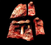 Four Piece Meat Cuts Props