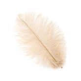 Ostrich Feather Drab