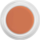 Kryolan Dermacolor Camouflage Creme Concealer