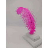 Ostrich Floss Feather 14-17"