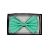 Pastel Bow Tie