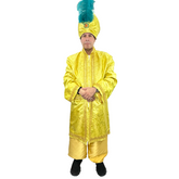 International Premium Gold Sultan Adult Costume