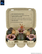 Aliens: 40th Anniversary 6 Pack Carton of Alien Eggs