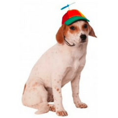 Multicolor Propeller Hat for Pets