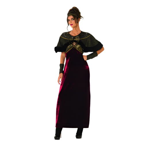Womens Medieval Lady Costume Women Medium Womens Medieval Lady Costume Women Medium