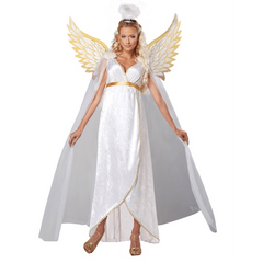 Classic Gorgeous Guardian Angel Women's Costume