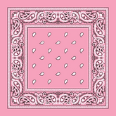 Paisley Bandanas