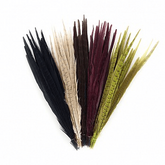 Assorted Pheasant Feathers