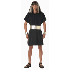 Classic Powerful Pharaoh Men's Costume