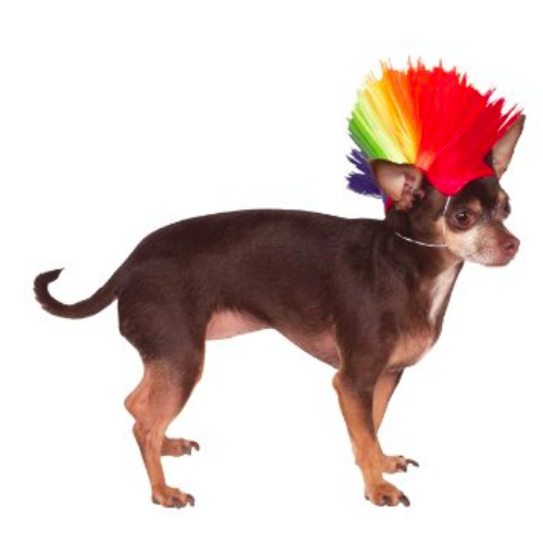 Rainbow Mohawk Wig for Pets