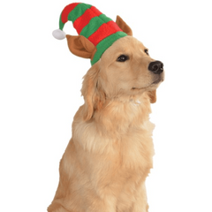 Festive Elf Ears Pet Hat
