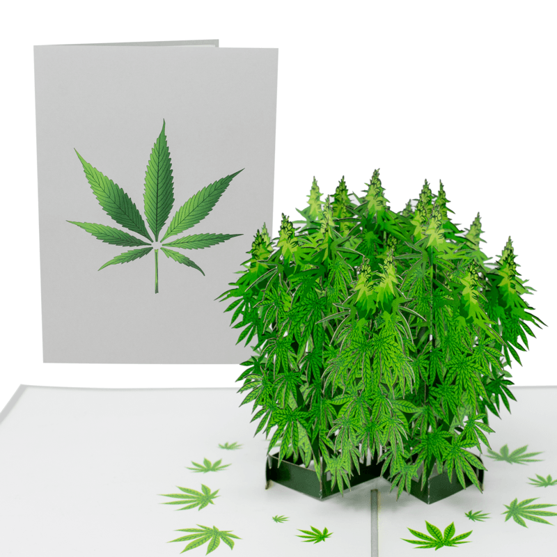 Pot Plant 3D Weed Plant Themed Card