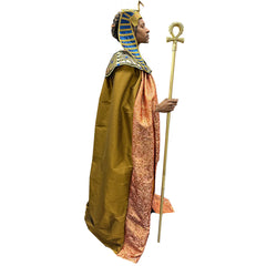Pharaoh King of the Nile Adult Costume