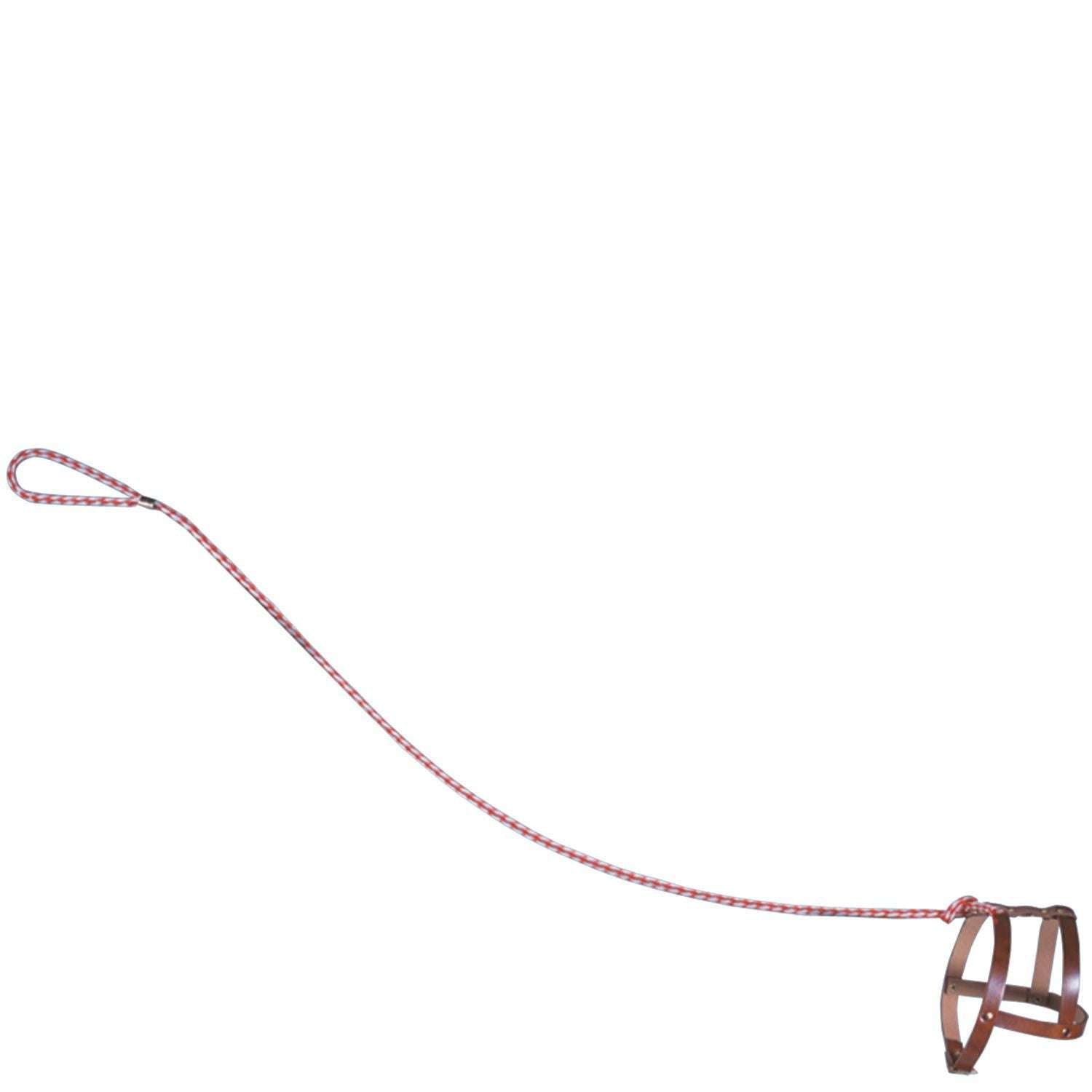 Invisible Dog invisible-dog