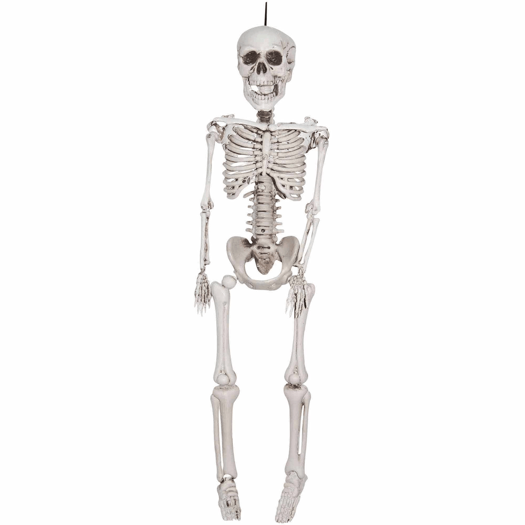 36” Plastic Skeleton