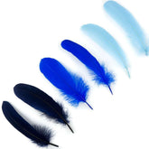 Assorted Goose Pallettes Pack
