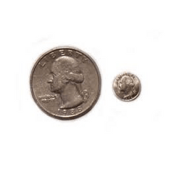 6 Piece Mini Coins