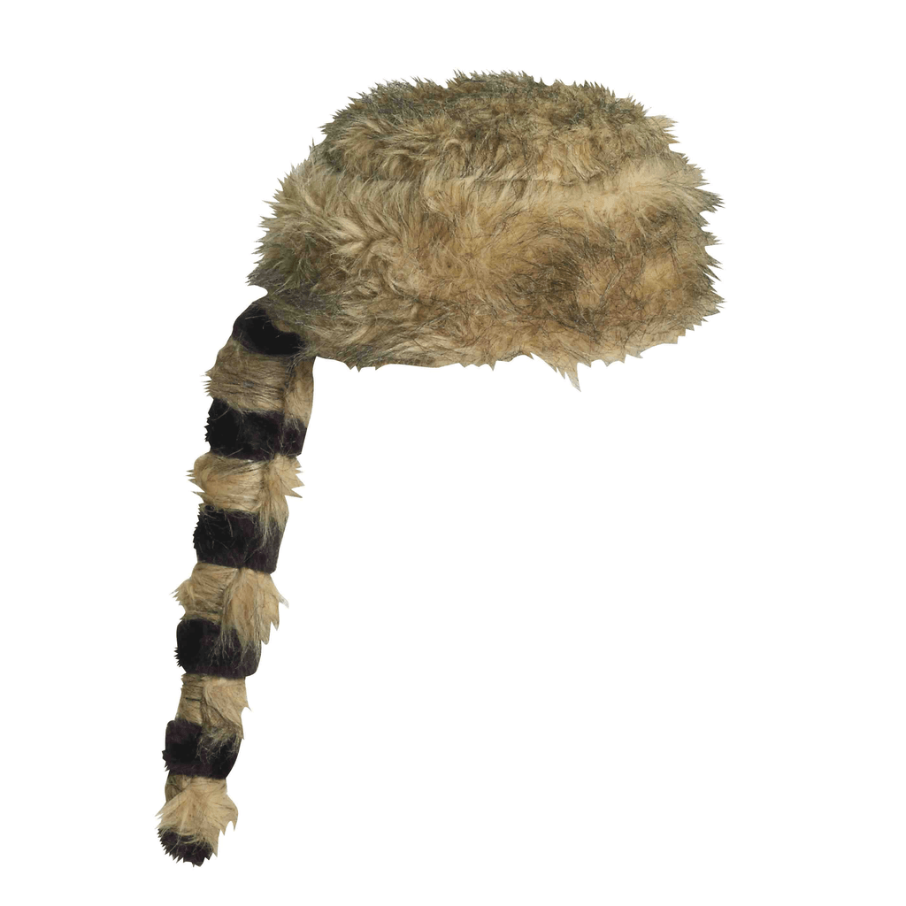 Raccoon hat online