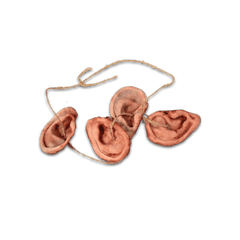 The Walking Dead Ear Trophy Necklace