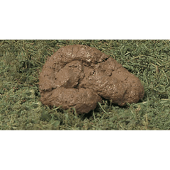 Realistic Dog Poop