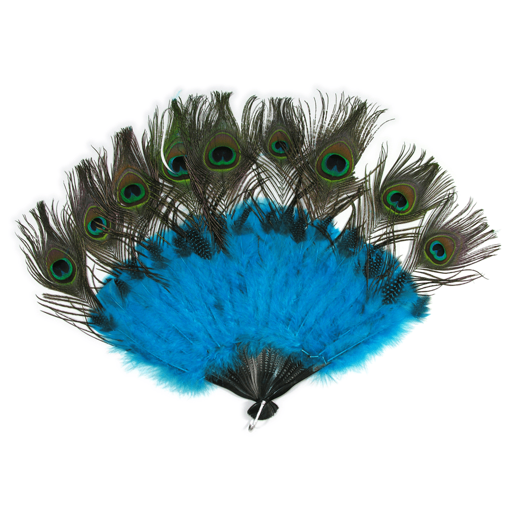 vintage peacock feather image