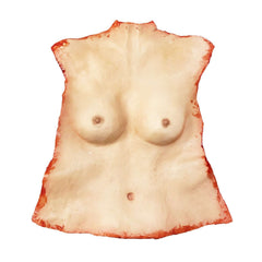 Female Human Torso Skin Prop - Pale