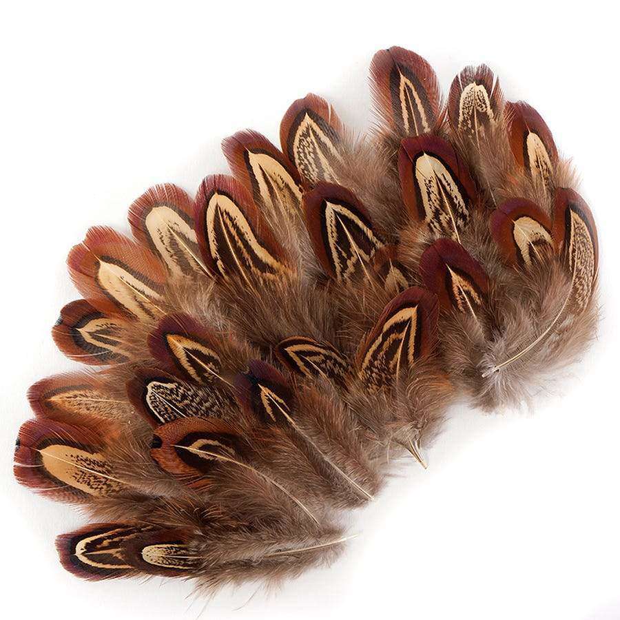 Assortment of Natural Pheasant Feathers