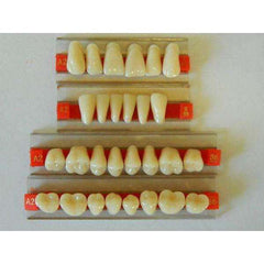 Assorted Resin Loose Teeth