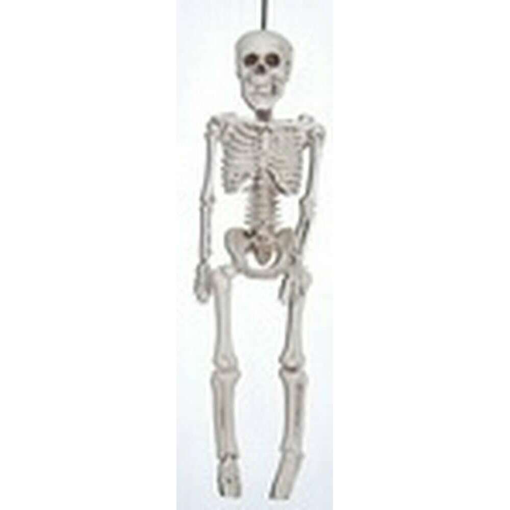 20" Plastic Realistic Skeleton