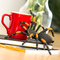 Spider Prop - Orange Kneed Tarantula