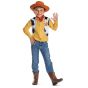 Toy Story Woody Child Costume Kit